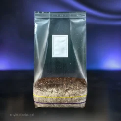 Growkit Full Auto – grzybnia Psilocybe cubensis, zestaw badawczy do obserwacji grzybni magicznych grzybów