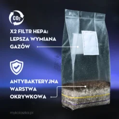 Growkit Full Auto – grzybnia Psilocybe cubensis, zestaw badawczy do obserwacji grzybni magicznych grzybów