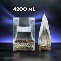 Growkit Polska – zestawy Full Auto 4200 ml z laboratorium Mykoloszka