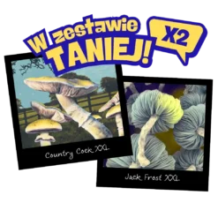 Growkity Jack Frost + Country Cock XXL Full Auto – dwa zestawy Psilocybe cubensis po 4200 ml, kontrastujące genetyki albinotyczna i klasyczna, gotowe do obserwacji.