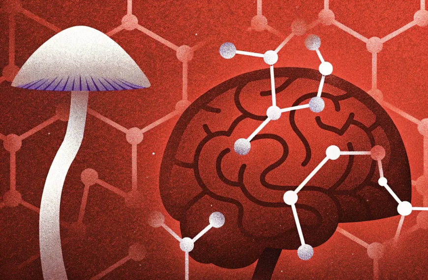Czym różni się psylocybina od psylocyny_