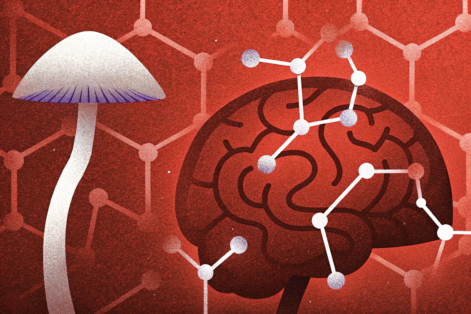 Czym różni się psylocybina od psylocyny_