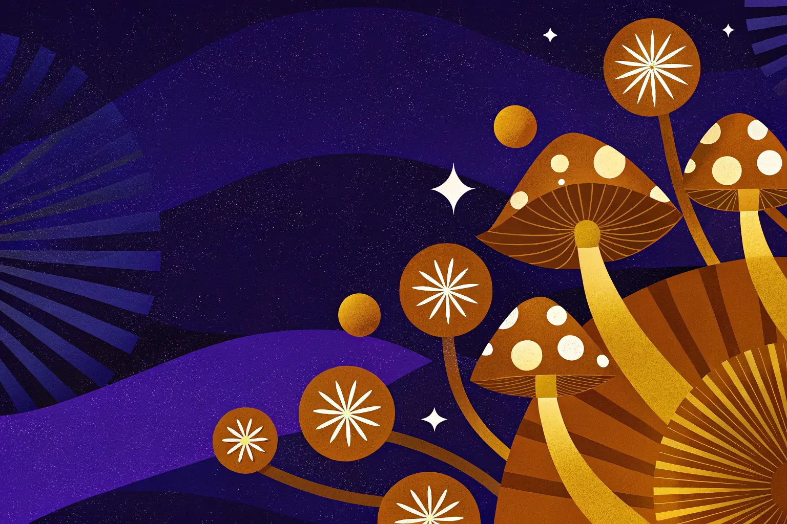 Ilustracja z motywami grzybów magicznych i psychodelicznej estetyki.