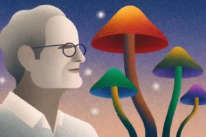 albert hoffman i grzyby psylocybinowe
