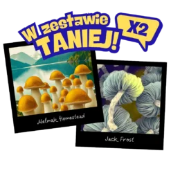Zestaw growkitów Psilocybe cubensis Melmak Homestead i Jack Frost – dwie genetyki Full Auto do badań i obserwacji