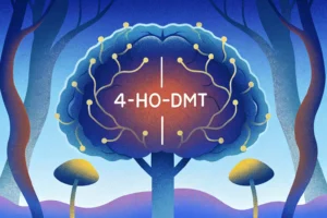 Czym jest psylocybina i jak wpływa na mózg?