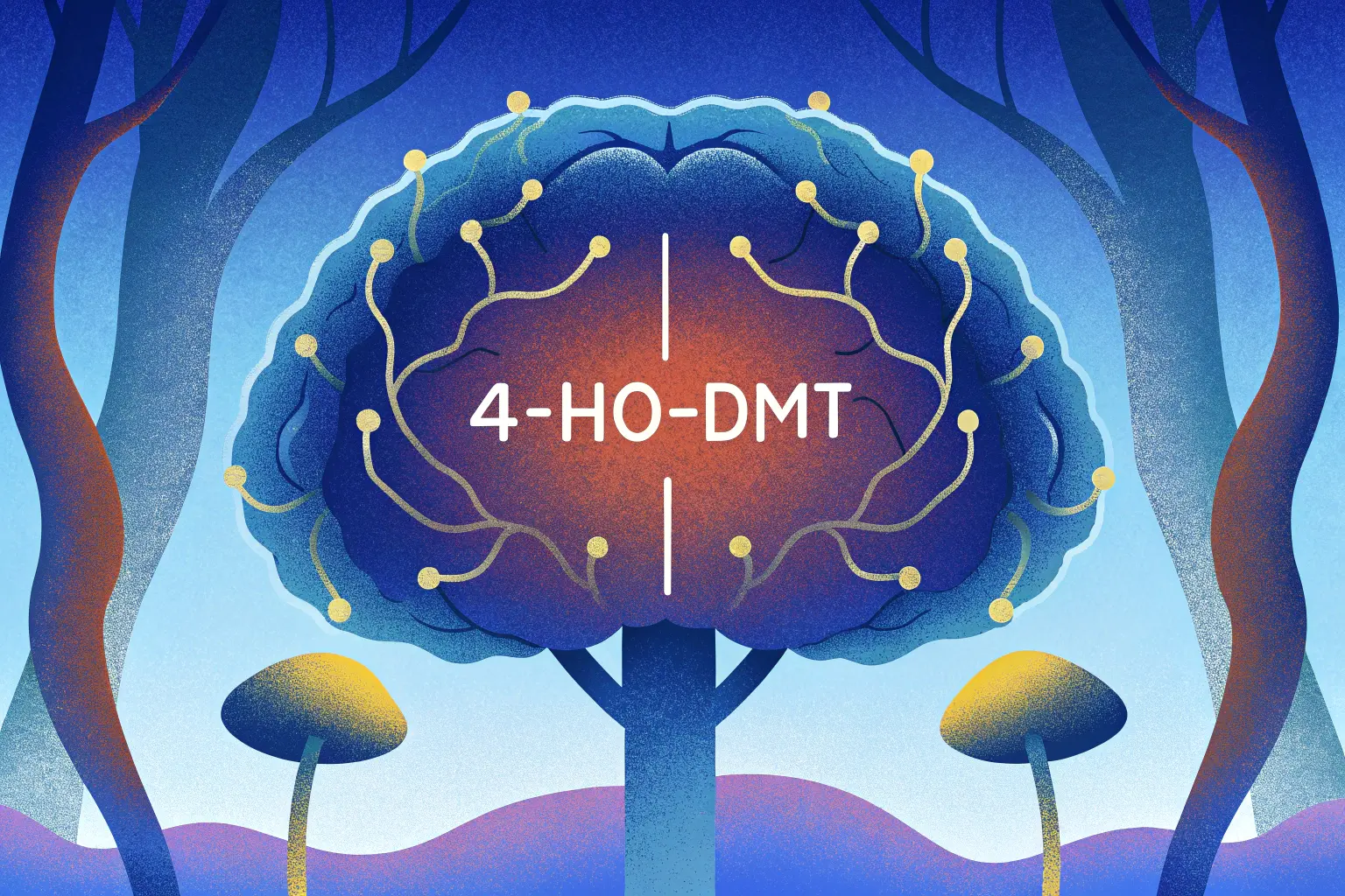 Czym jest psylocybina i jak wpływa na mózg?