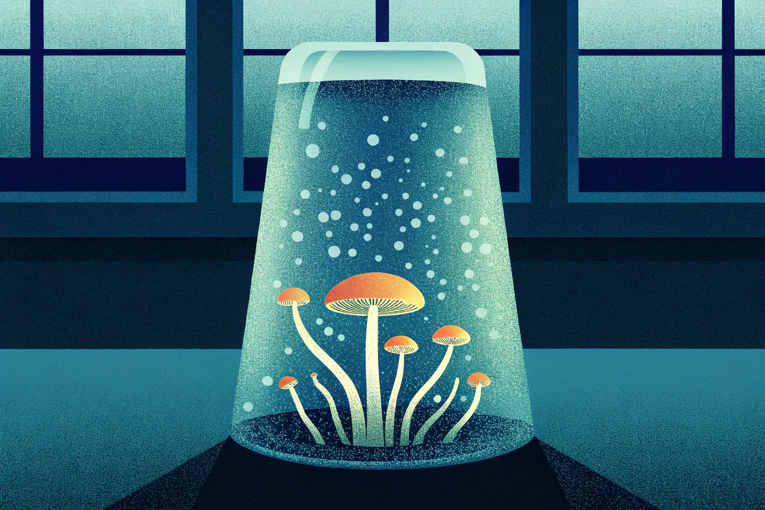 Growkit full auto warunki dla obserwacji | Mykoloszka - sklep z growkitami