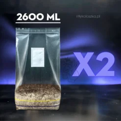 Zestaw growkitów 2 w 1 Full Auto – dwa zestawy Psilocybe cubensis z laboratorium Mykoloszka, Polska