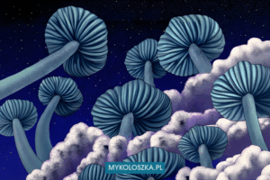 Jack Frost grzyby | Pochodzenie i cechy genetyki | Mykoloszka - sklep z growkitami