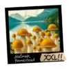 Growkit Melmak Homestead Psilocybe cubensis XXL 4200ml grzybnia kolekcjonerska Full Auto