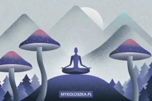Medytacja i magiczne grzyby