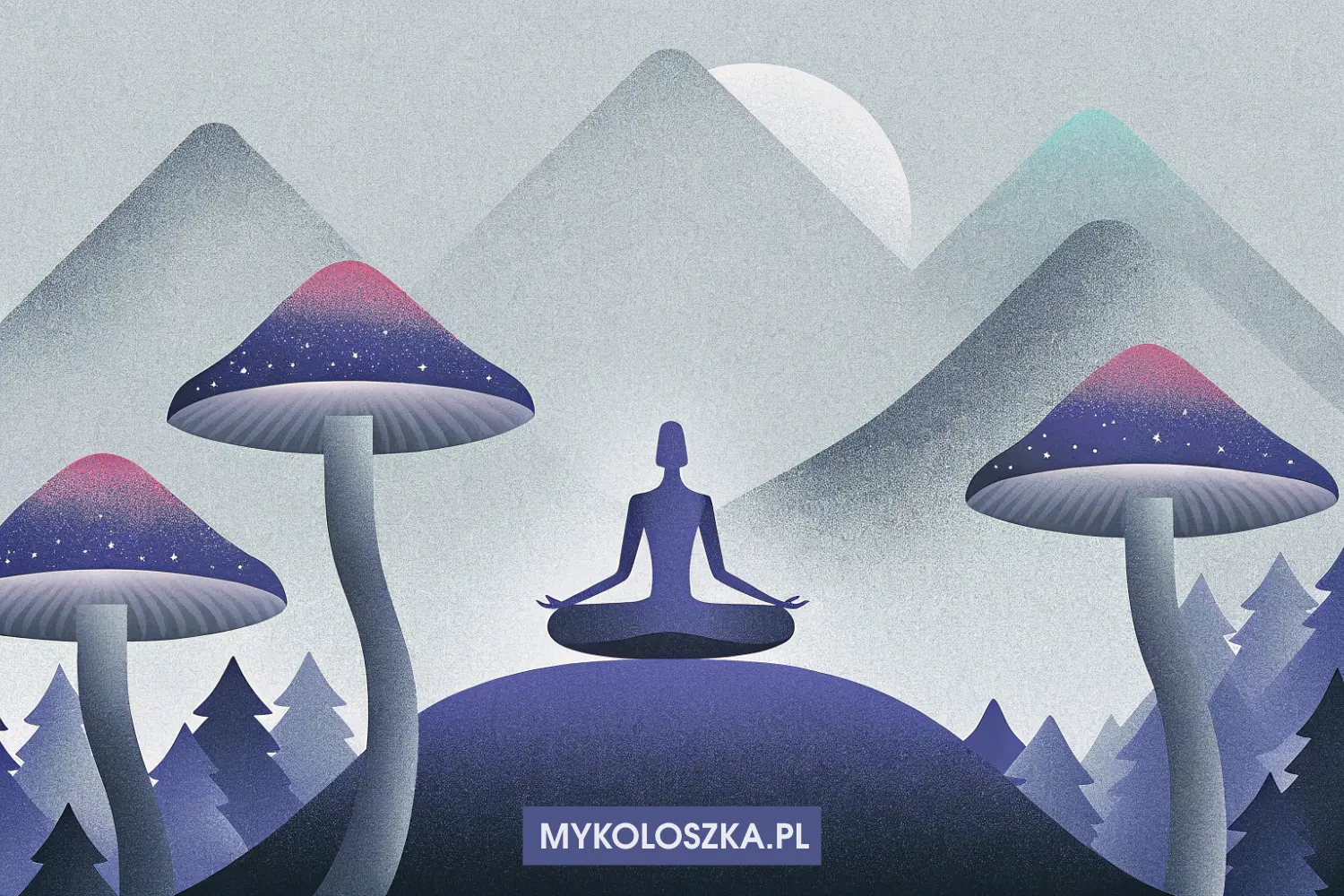 Medytacja i magiczne grzyby