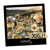 Growkit Hillbilly Full Auto 4200ml – zestaw kolekcjonerski Psilocybe cubensis z Arkansas