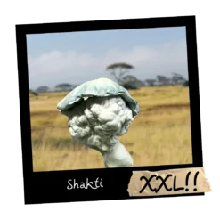 Growkit Shakti Full Auto 4200ml – rzadka albinosowa genetyka Psilocybe cubensis z Indii