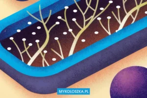 Piny w growkicie — kiedy pojawiają się primordia? | Mykoloszka