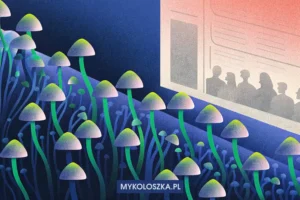 Psylocybina to nie wszystko. Poznaj pełny skład chemiczny Psilocybe cubensis