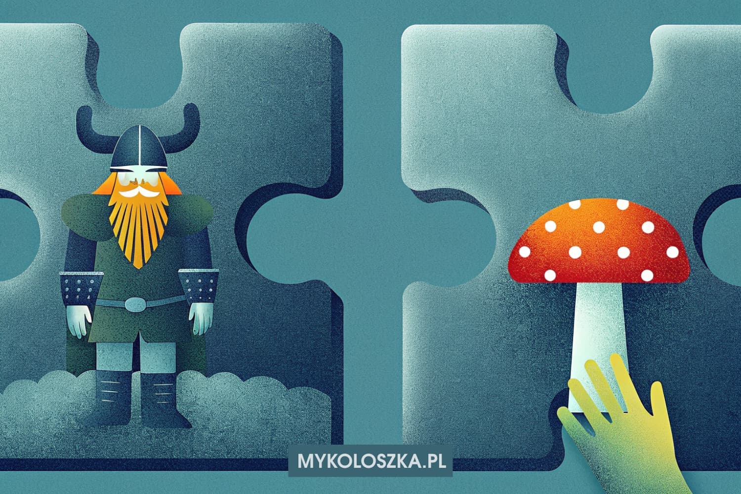 Wikingowie i magiczne grzyby _ Blog Mykoloszka