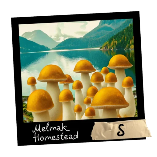 Growkit Melmak Homestead S Full Auto 1800ml – kompaktowy zestaw z legendarnym izolatem Penis Envy