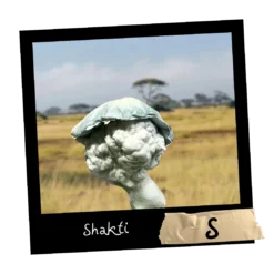 Growkit Shakti S Full Auto 1800ml – pierwsza albinotyczna mutacja szczepu Malabar Coast z Indii