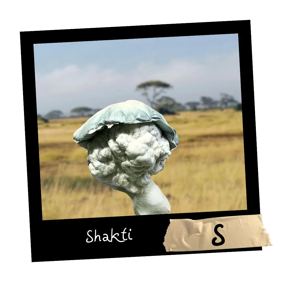 Growkit Shakti S Full Auto 1800ml – pierwsza albinotyczna mutacja szczepu Malabar Coast z Indii