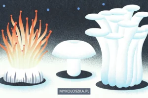 Three extraordinary medicinal mushrooms as dramatic natural sculptures against a dark background: Left: Cordyceps militaris — vivid orange elongated club-shaped fruiting bodies rising from dark soil, almost flame-like. Center: Lion's Mane (Hericium erinaceus) — large white cascading icicle-like mass, luminous and soft. Right: Reishi (Ganoderma lucidum) — deep lacquered mahogany shelf fungus with concentric rings, glossy surface catching warm light. Each mushroom glows softly from within — warm amber, white, deep red — like living lanterns. Dark, minimal background. Dramatic side lighting. Style: painterly editorial illustration, scientific yet atmospheric. No text. No labels. No supplements, no pills, no capsules.