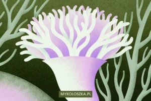 Funga — królestwo grzybów, mykoryza i rola grzybów w ekosystemach lądowych
