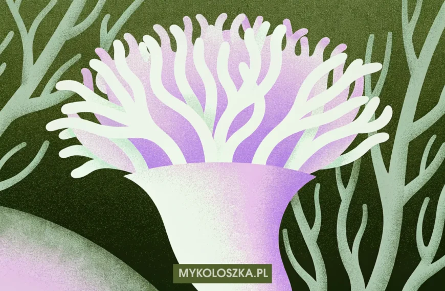 Funga — królestwo grzybów, mykoryza i rola grzybów w ekosystemach lądowych