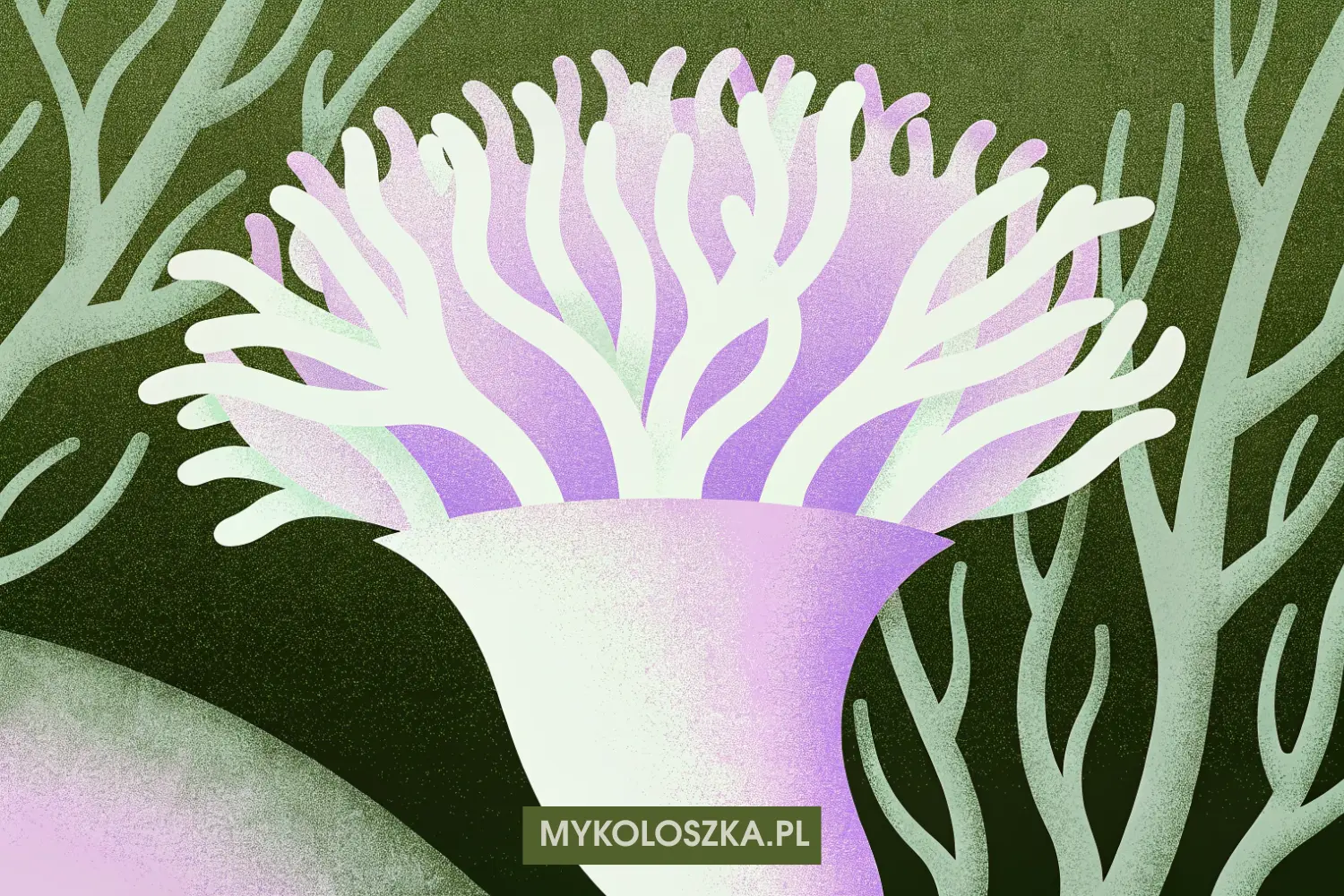 Funga — królestwo grzybów, mykoryza i rola grzybów w ekosystemach lądowych