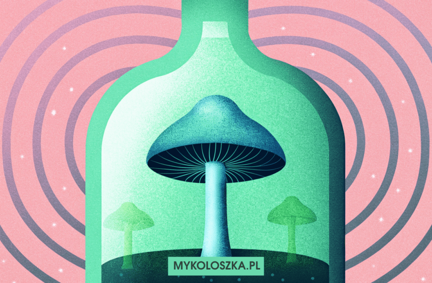Psylocybina a alkohol — jak działają i dlaczego nie łączymy ich razem — Mykoloszka