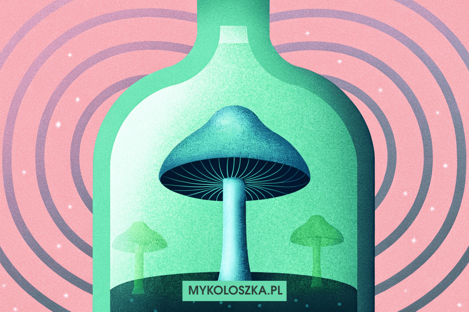 Psylocybina a alkohol — jak działają i dlaczego nie łączymy ich razem — Mykoloszka